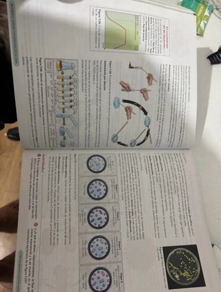 Biología, Geología y CC. Ambientales 1º Bachill...