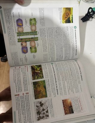 Biología, Geología y CC. Ambientales 1º Bachill...