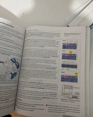 Biología, Geología y CC. Ambientales 1º Bachill...