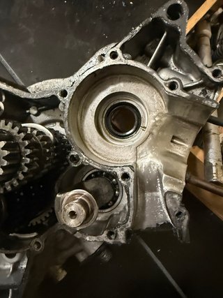 motor AM6