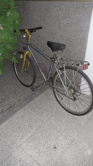 Bicicletta da Montagna Bianchi