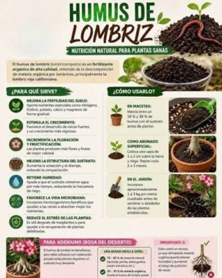 Kit Inicio humus lombri