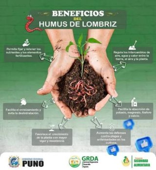 Kit Inicio humus lombri