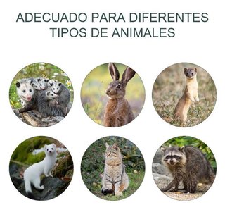 Jaula animales