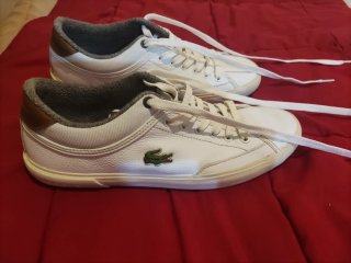 Zapatillas Lacoste Angha 419