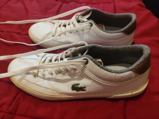 Zapatillas Lacoste Angha 419