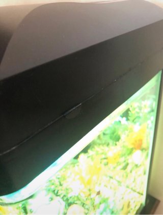 Acquario con decorazioni