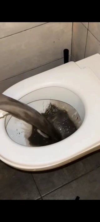 Limpieza y desinfección de colchones y sofás.