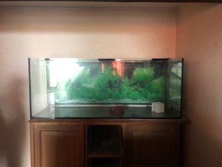 Acuario grande con mueble precio a convenir