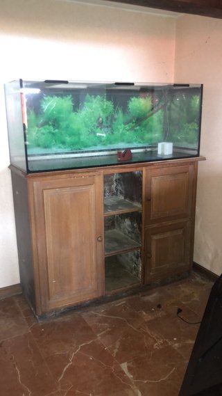 Acuario grande con mueble precio a convenir