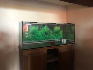 Acuario grande con mueble precio a convenir