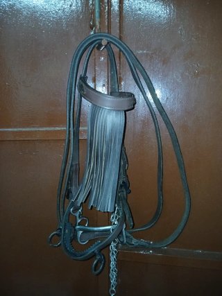 Montura vaquera pony