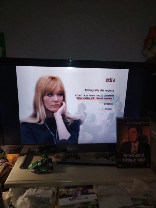 Perché il Signor R. è diventato matto? dvd