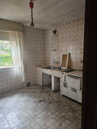 Cocina Leña y Gas