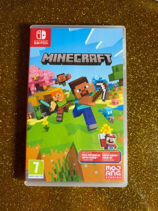 Minecraft Nintendo Switch