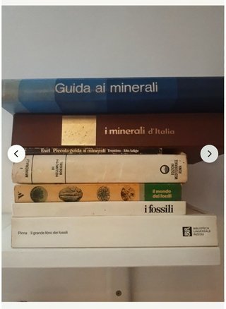 Lotto minerali + fossili e libri omaggio