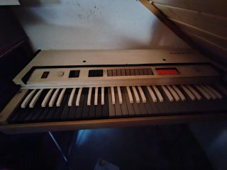 Órgano  Godwin,órgano FARFISA, va por separado
