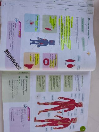 CIENCIAS DE LA NATURALEZA 5 PRIMARIA CONSTRUYEN...
