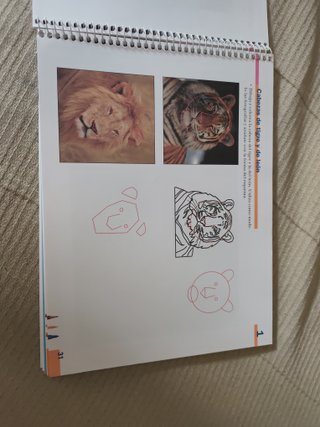 Plástica 5. Cuaderno.