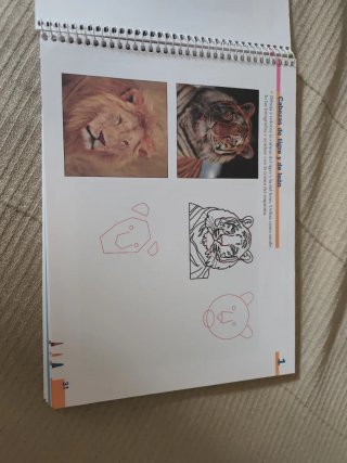 Plástica 5. Cuaderno.