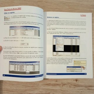 Guía Visual de Access 2003