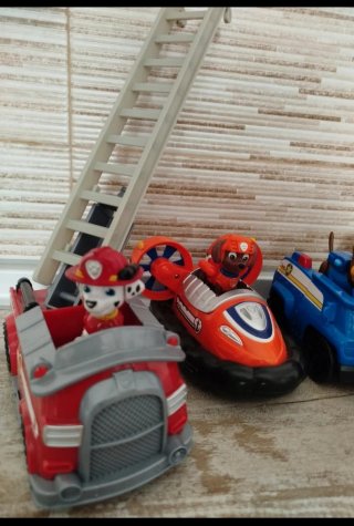 Coches Patrulla Canina