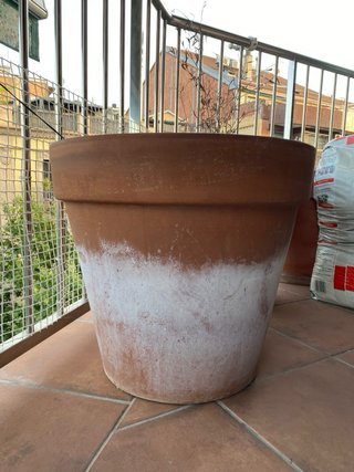 Macetas de arcilla grandes
