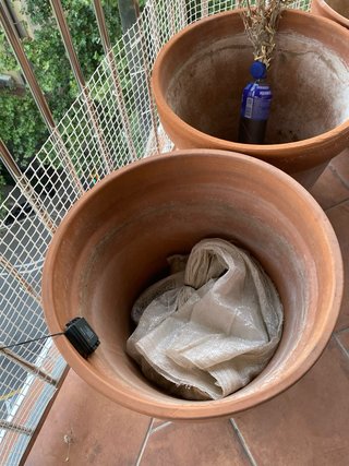 Macetas de arcilla grandes