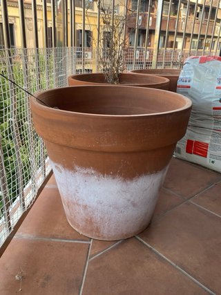 Macetas de arcilla grandes
