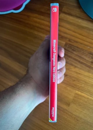 Minecraft Dungeons Hero Edition Switch