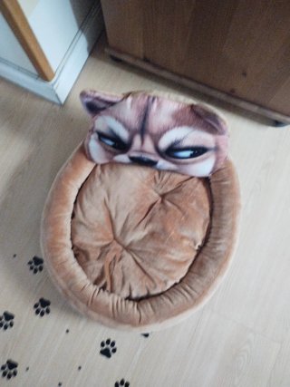 Cama para mascotas perro pequeño o gato