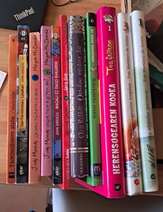 Libros juveniles en euskera