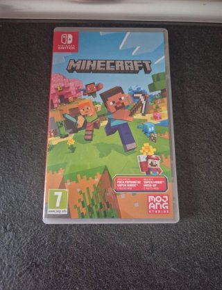 Minecraft Nintendo Switch