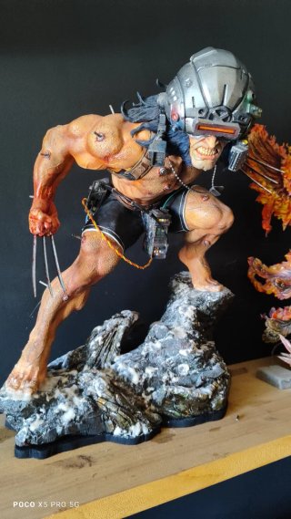 Arma X  Wolverine