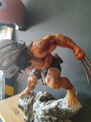 Arma X  Wolverine