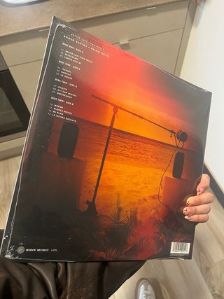 Vinilo Romeo Santos - Better Late Than Never