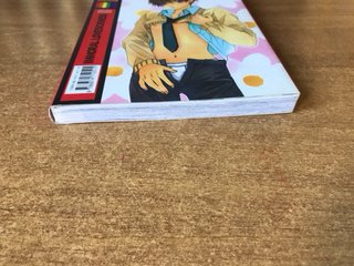 Immoral Lovesickness - Manga