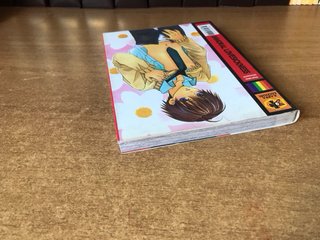 Immoral Lovesickness - Manga