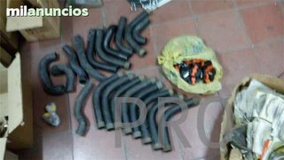 manguitos de radiador de agua nuevos