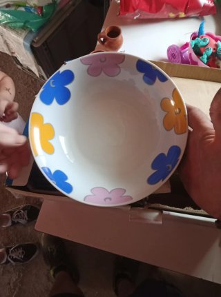 Vajilla Porcelana Fina 19 Piezas