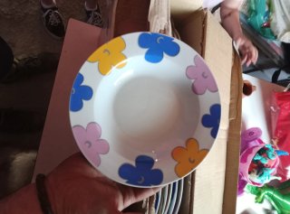 Vajilla Porcelana Fina 19 Piezas