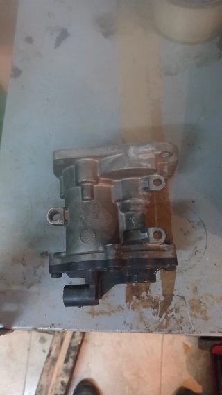 erg ford fucos 1.8 tdci