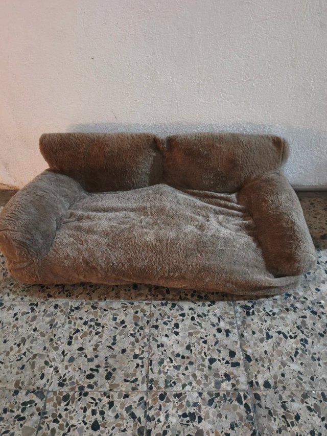 Sofá cama ortopédico para perros 1,05 x 60