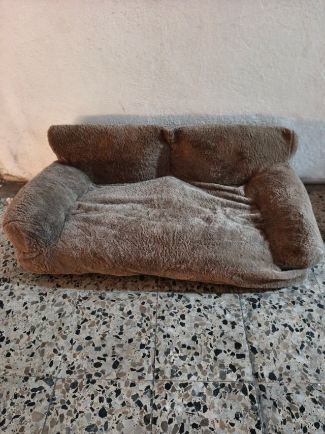 Sofá cama ortopédico para perros 1,05 x 60