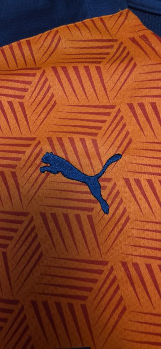 Camiseta Valencia Puma 2020 Naranja y Azul