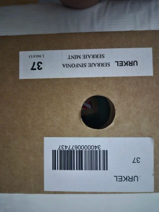 Zapatillas Morrison Talla 37