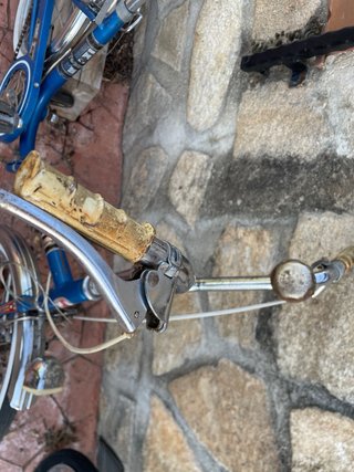 Bicicleta Clásica Azul