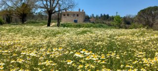 Casa rural con piscina, grupos de 13p 7d. agosto.