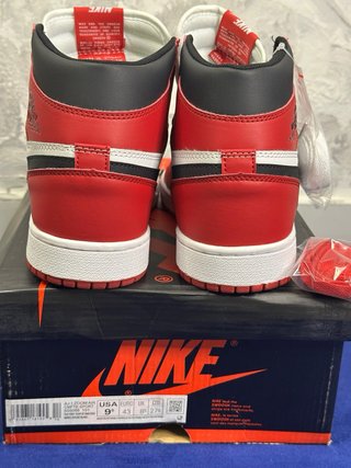 Air Jordan 1 Retro Chicago Rosse Bianche