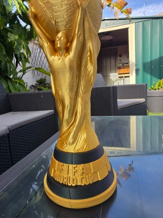 Copa del Mundo FIFA 3D